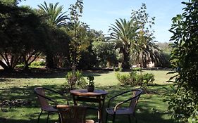 Eco Lodge El Arbol La Serena